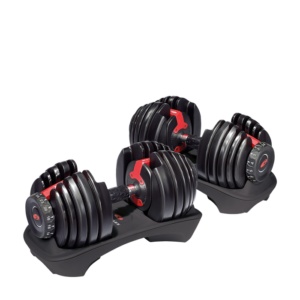 BOWFLEX HALTERES