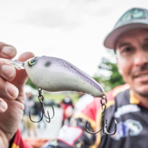 ISCA ARTIFICIL DE FUNDO CRANKBAIT – BASS PRO SHOP