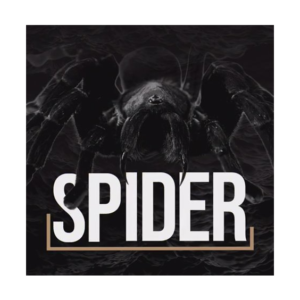 HUNTER FIHSING UP BRUDDEN – SPIDER